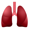 Promotes natural nasal breathing for deeper, healthier sleep